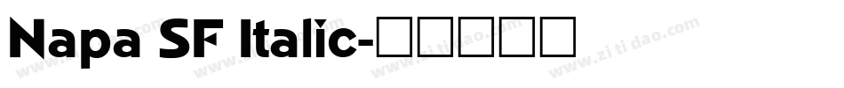 Napa SF Italic字体转换